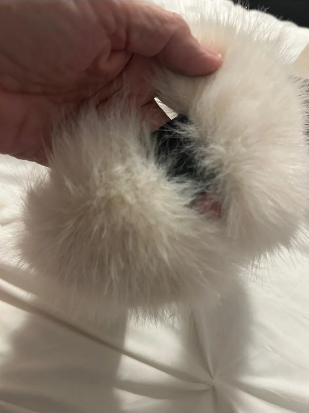 Plush Cream faux fur  headband